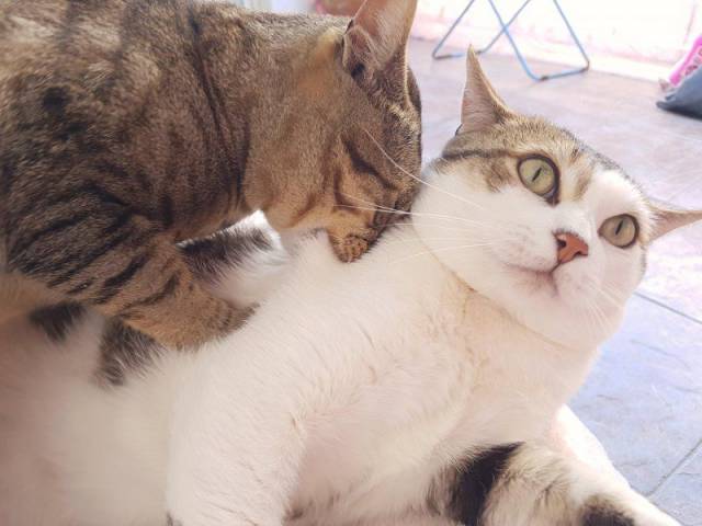 daily picdump 98 pics 42.html - 98 HD Photos | Premium Gallery 2017