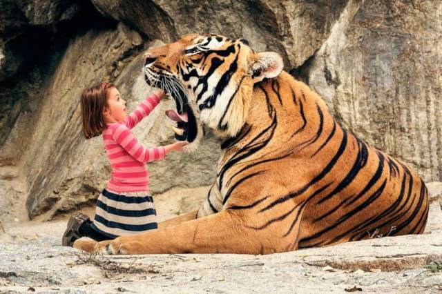 daily picdump 98 pics 42.html - 98 HD Photos | Premium Gallery 2017