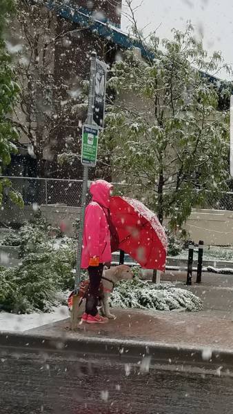 daily picdump 98 pics 42.html - 98 HD Photos | Premium Gallery 2017