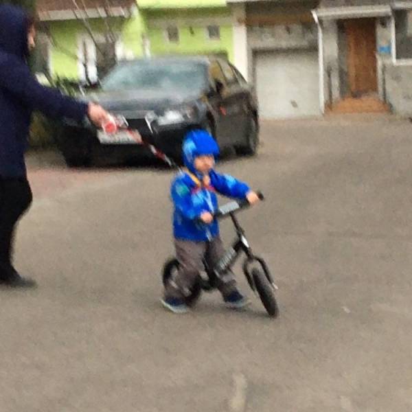 daily picdump 98 pics 42.html - 98 HD Photos | Premium Gallery 2017