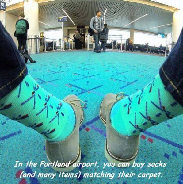 daily picdump 98 pics 42.html - 98 HD Photos | Premium Gallery 2017