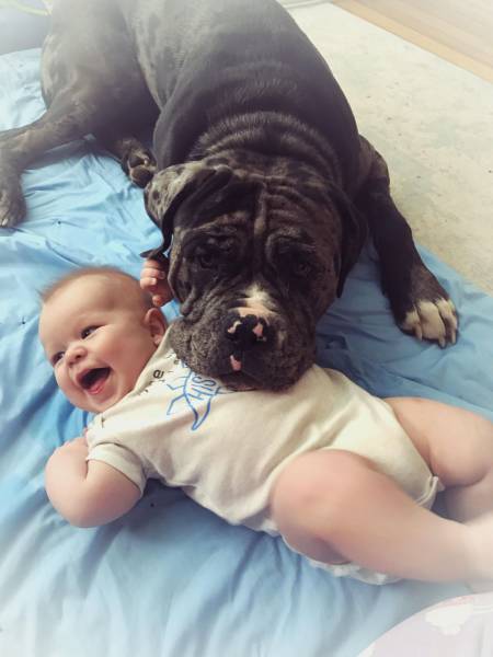 daily picdump 98 pics 42.html - 98 HD Photos | Premium Gallery 2017