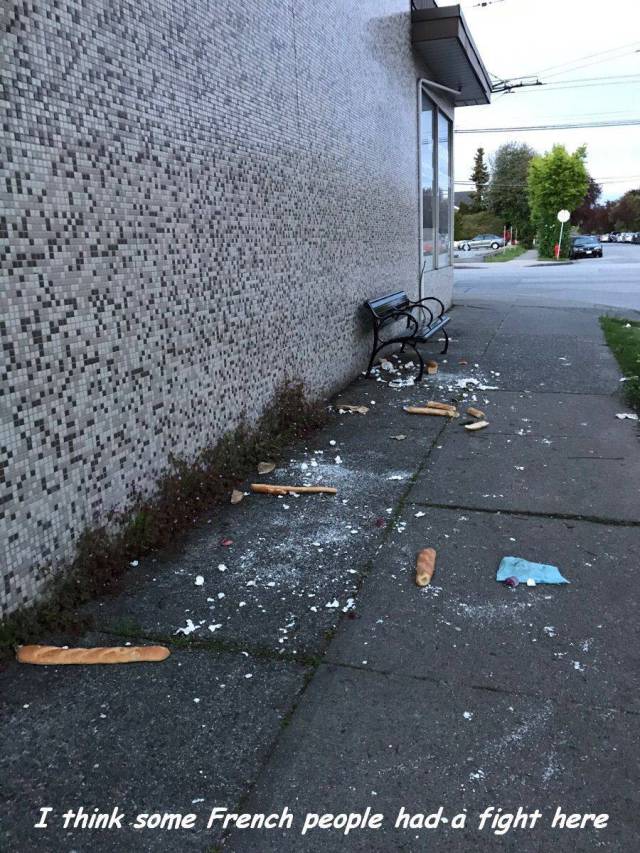 daily picdump 98 pics 42.html - 98 HD Photos | Premium Gallery 2017