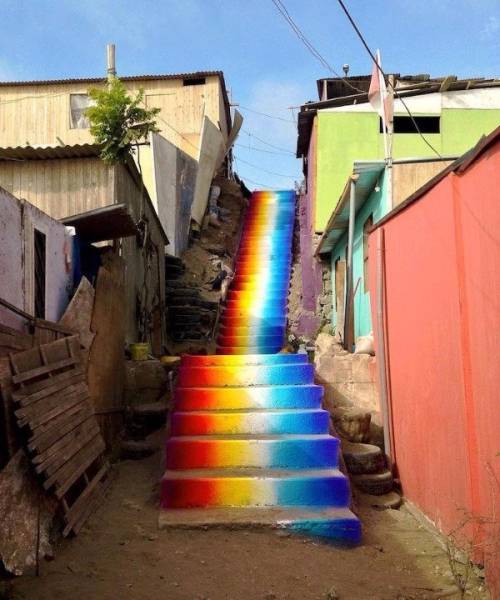 Morning Picdump