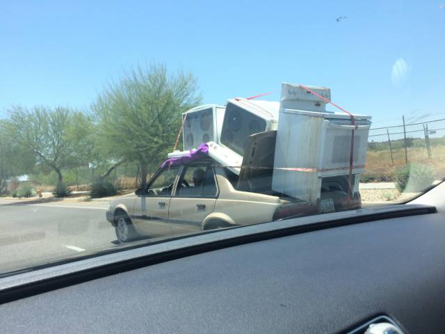 Morning Picdump
