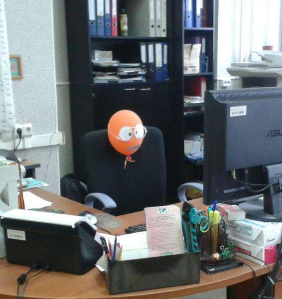 Morning Picdump