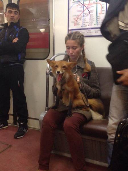 Morning Picdump