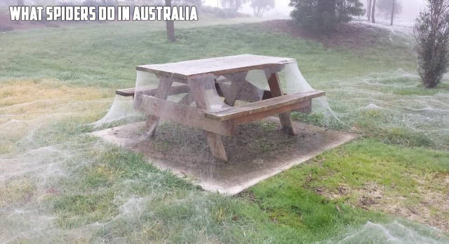 Morning Picdump