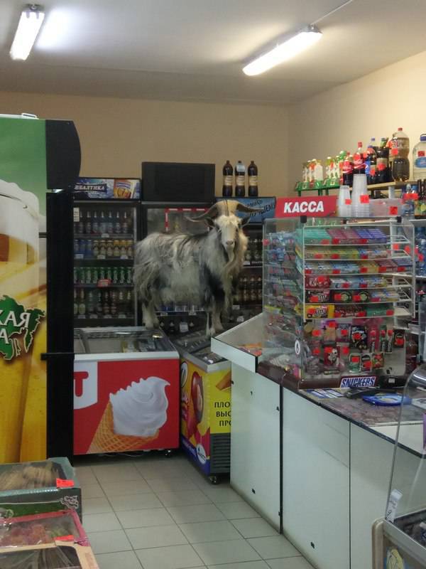 Morning Picdump