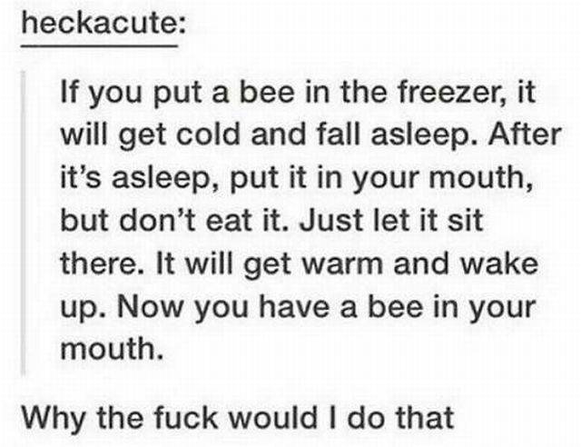 Daily Picdump