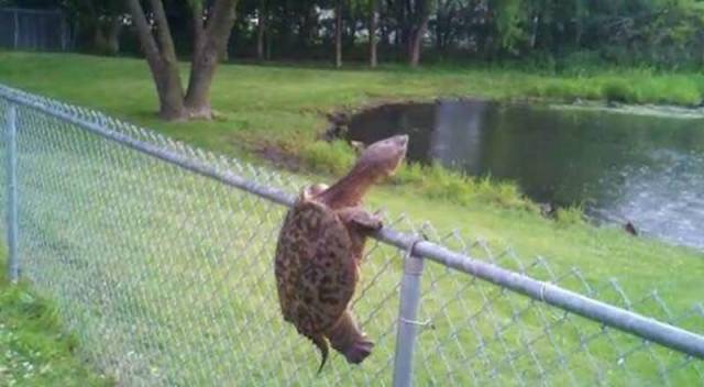 daily picdump 97 pics 29.html - 97 HD Photos | Premium Gallery 2017