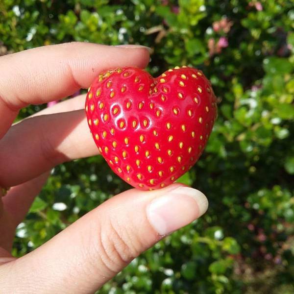 daily picdump 97 pics 29.html - 97 HD Photos | Premium Gallery 2017
