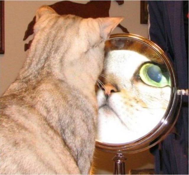 daily picdump 97 pics 29.html - 97 HD Photos | Premium Gallery 2017