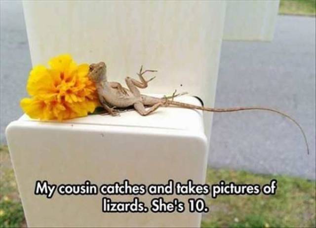 daily picdump 97 pics 29.html - 97 HD Photos | Premium Gallery 2017