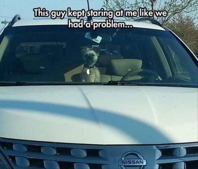 daily picdump 97 pics 29.html - 97 HD Photos | Premium Gallery 2017