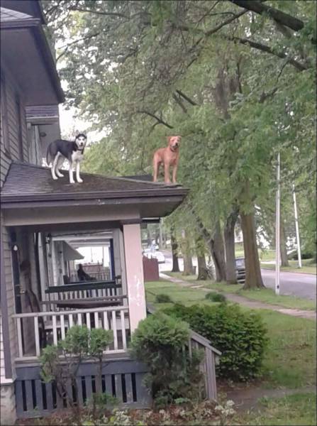 daily picdump 97 pics 29.html - 97 HD Photos | Premium Gallery 2017