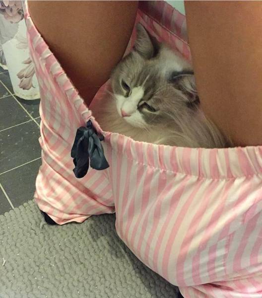 morning picdump 51 pics 1.html - 51 HD Photos | Premium Gallery 2017