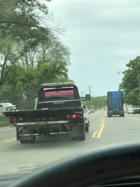 daily picdump weekend edition 59 pics 9.html - 59 HD Photos | Premium Gallery 2017