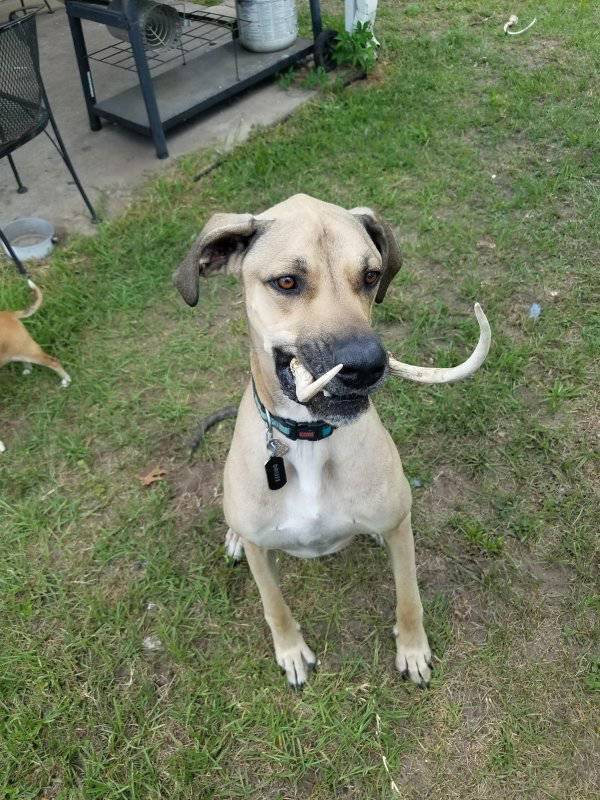 daily picdump weekend edition 59 pics 9.html - 59 HD Photos | Premium Gallery 2017