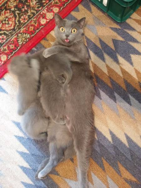 daily picdump 101 pics 42.html - 101 HD Photos | Premium Gallery 2017