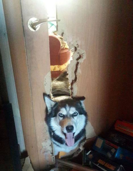 daily picdump 101 pics 42.html - 101 HD Photos | Premium Gallery 2017