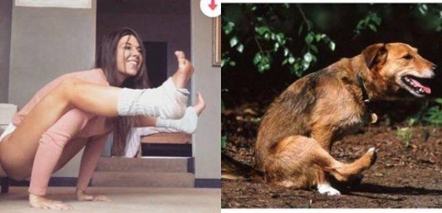 daily picdump 101 pics 42.html - 101 HD Photos | Premium Gallery 2017