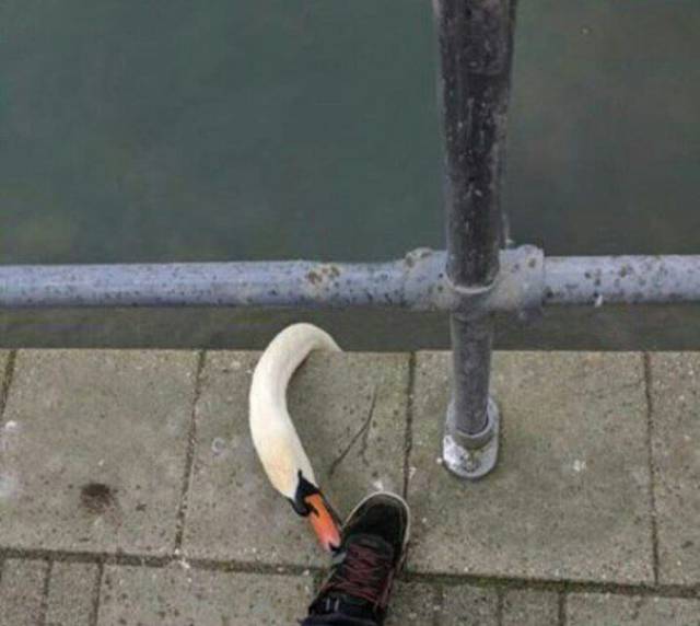 daily picdump 101 pics 42.html - 101 HD Photos | Premium Gallery 2017