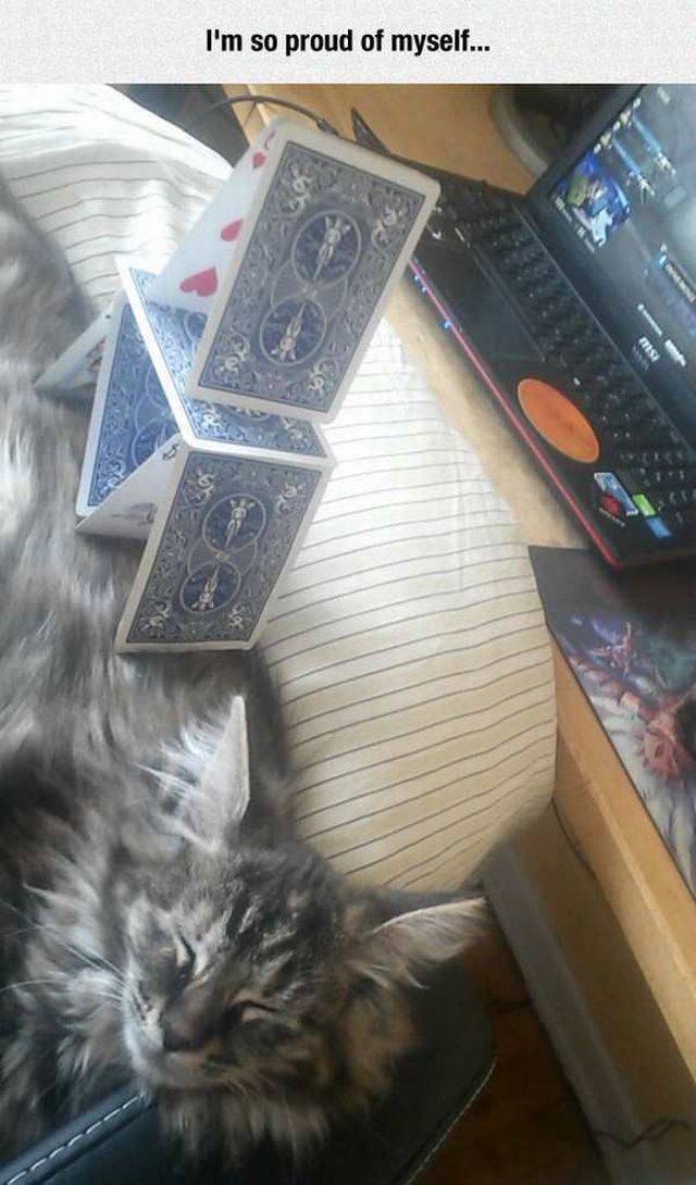 daily picdump 101 pics 42.html - 101 HD Photos | Premium Gallery 2017