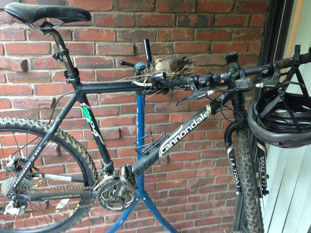 morning picdump 54 pics 1.html - 54 HD Photos | Premium Gallery 2017