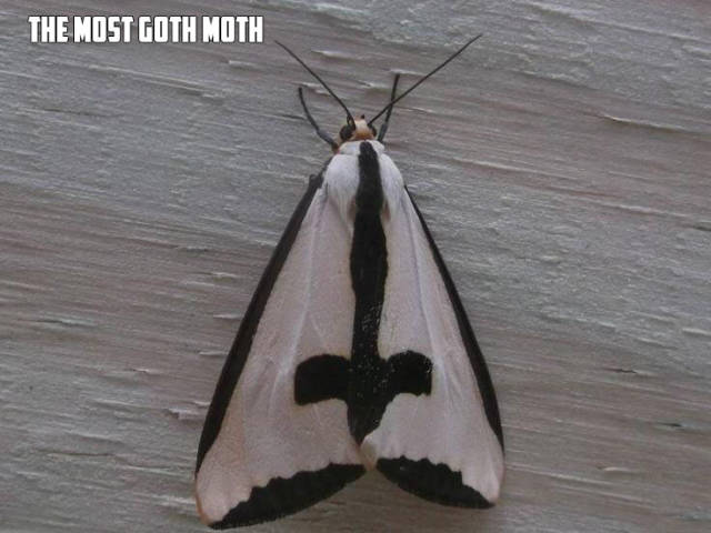 morning picdump 54 pics 1.html - 54 HD Photos | Premium Gallery 2017