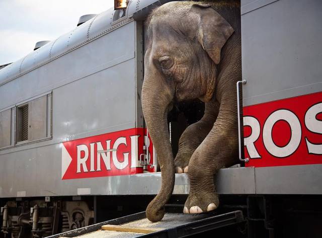 morning picdump 54 pics 1.html - 54 HD Photos | Premium Gallery 2017