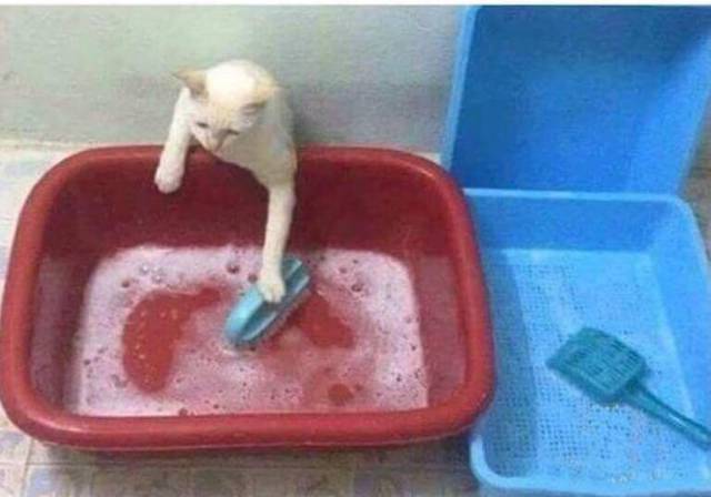 morning picdump 54 pics 1.html - 54 HD Photos | Premium Gallery 2017