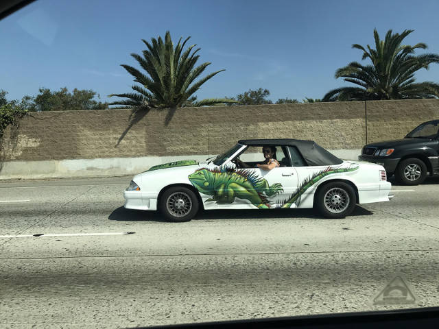 morning picdump 54 pics 1.html - 54 HD Photos | Premium Gallery 2017