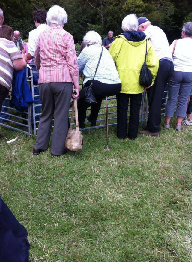 morning picdump 54 pics 1.html - 54 HD Photos | Premium Gallery 2017