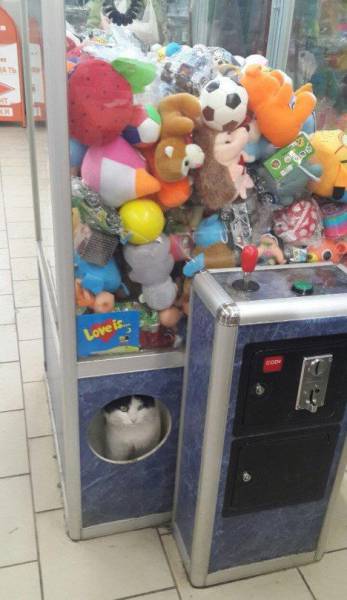 daily picdump 95 pics 47.html - 95 HD Photos | Premium Gallery 2017