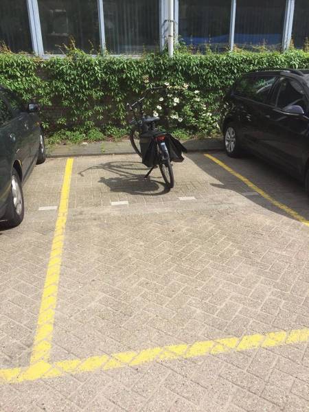 daily picdump 95 pics 47.html - 95 HD Photos | Premium Gallery 2017