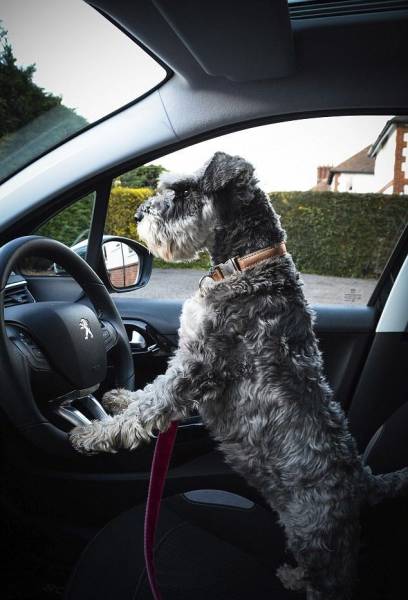 daily picdump 95 pics 47.html - 95 HD Photos | Premium Gallery 2017