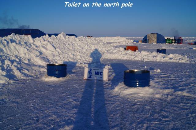 daily picdump 95 pics 47.html - 95 HD Photos | Premium Gallery 2017