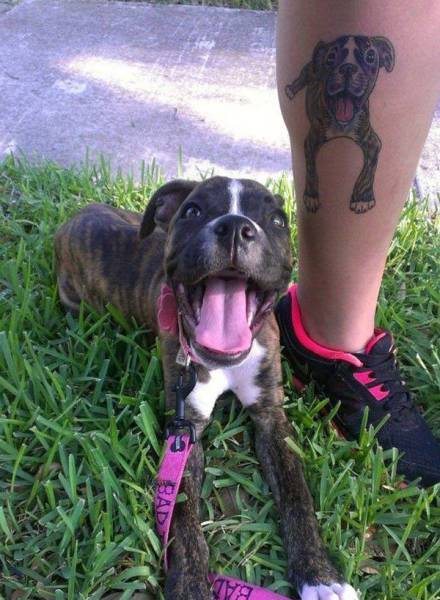 daily picdump 95 pics 47.html - 95 HD Photos | Premium Gallery 2017