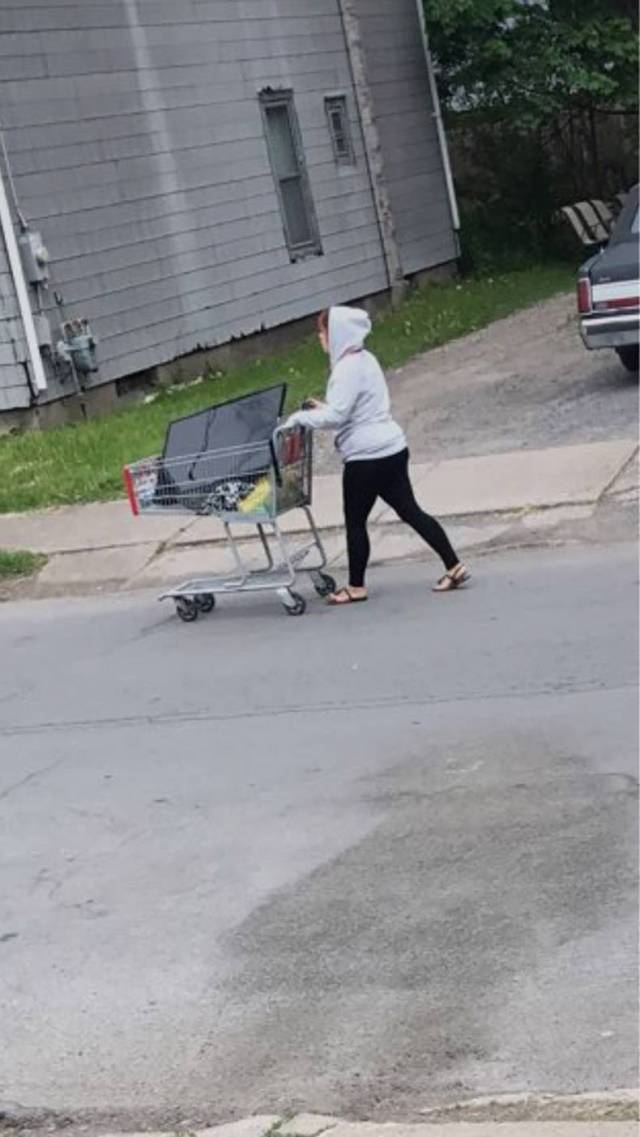 daily picdump 95 pics 47.html - 95 HD Photos | Premium Gallery 2017