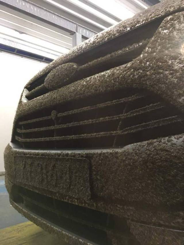 daily picdump 95 pics 47.html - 95 HD Photos | Premium Gallery 2017