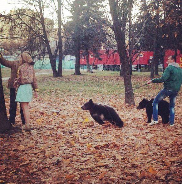 daily picdump 96 pics 44.html - 96 HD Photos | Premium Gallery 2017