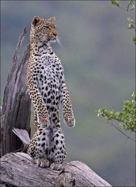 daily picdump 96 pics 44.html - 96 HD Photos | Premium Gallery 2017