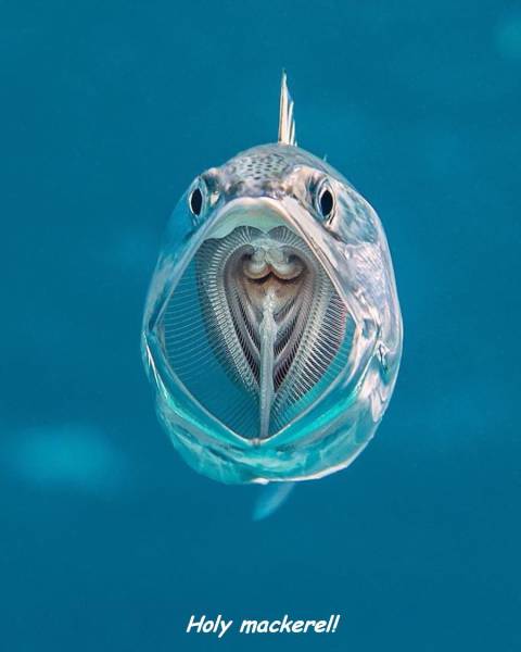 daily picdump 96 pics 44.html - 96 HD Photos | Premium Gallery 2017