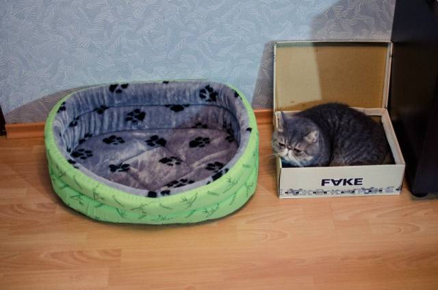 daily picdump 96 pics 44.html - 96 HD Photos | Premium Gallery 2017