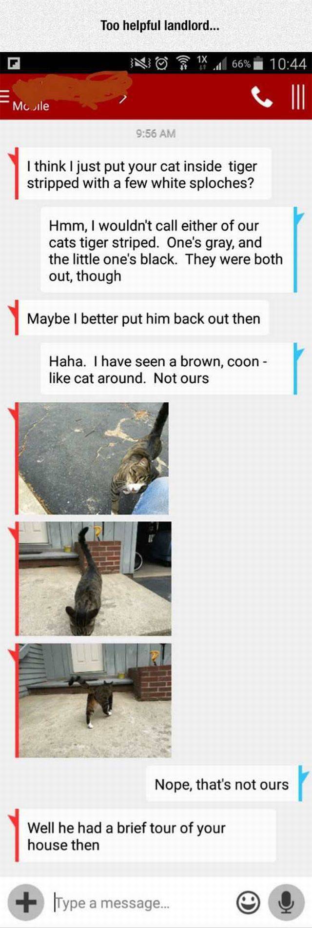 daily picdump 96 pics 44.html - 96 HD Photos | Premium Gallery 2017