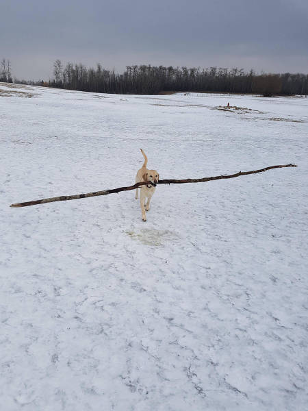 morning picdump 51 pics 19.html - 51 HD Photos | Premium Gallery 2017