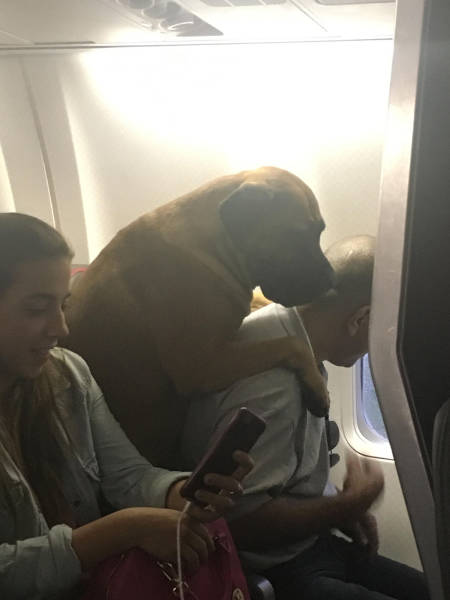 morning picdump 51 pics 19.html - 51 HD Photos | Premium Gallery 2017