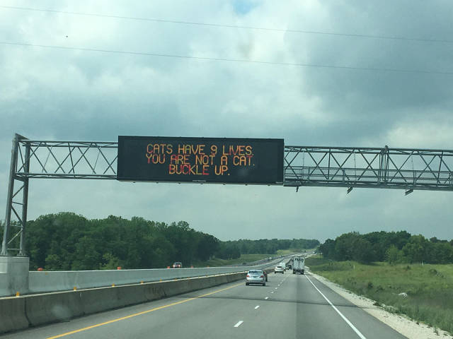 morning picdump 51 pics 19.html - 51 HD Photos | Premium Gallery 2017