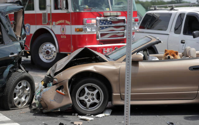 morning picdump 51 pics 19.html - 51 HD Photos | Premium Gallery 2017